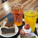 페츠베리머치 카페 | 대전 성심당 근처 케이크 카페 [땡큐베리머치] 내돈내산 솔직 후기