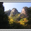 양성산 티스토리