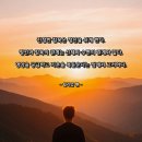 1137 | 사랑 명상 1137