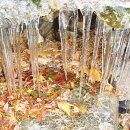 백세시대 이미지