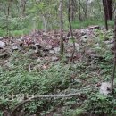 유실목장 이미지