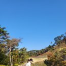 JJ 골프 아카데미 이미지