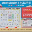롯데몰 앞 횡단보도1 이미지