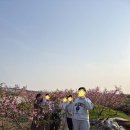 뜨렌비 이미지