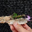 석곡농협 하나로마트 이미지