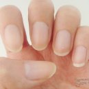 샵(#)뷰티 이미지