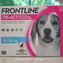 늘봄동물약국 이미지