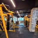 영바디짐 이미지