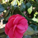 펜션정원 이미지