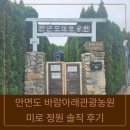 바람정원 | 더위 조심! 안면도 바람아래관광농원 미로 정원 솔직 후기