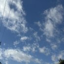 헬플렉스짐 | 또’ 떠나요~ 제주도~ - 3일차 (짐캐리 내돈내산 이용후기, 대한항공 A321-200 neo 프레스티지석 후기)