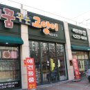 개꿈꾸는 고양이 이미지