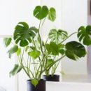 만능카인테리어 이미지