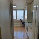 피앤디 솔로빌 이미지