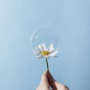 서대문 봄 정신건강의학과의원 이미지