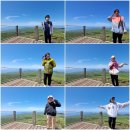 한양대APEX태권도 이미지