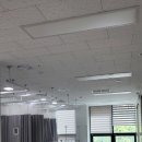 초롱꽃아산의원 이미지