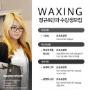 왁싱에 미치다 이미지