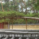 이유 정려각 이미지