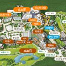 소노캄 델피노 A . B 이미지