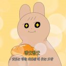 시드니 맨리비치 롤러스 베이크하우스 Rollers Bakehouse