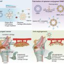메디컬랩 이미지