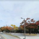(주)나라부동산중개법인 이미지