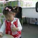 신트리공원(테니스장) 이미지