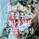 우진동물병원 | 김해 내외동 꽃집 추천 이쁜 꽃다발 화환 전문 우진꽃판매장