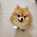옥희미용실 이미지