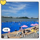 (주)한강환경특수 | 2026 난지 한강공원 물놀이장 후기｜주차, 꿀팁, 명당자리 추천, 입장료 총정리