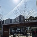 서동산업안전(서동IS) | 울산 서동 KCC스위첸 이사전 필수품! 봄철 벌레 차단하는 미세방충망 교체 후기