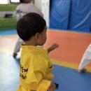 가온 한양대 태권도 이미지