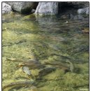 눈높이 배드민턴장 이미지