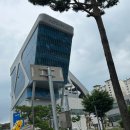 세모스 | [경기/성남] 성남종합스포츠센터 프리다이빙, 고고다이브 강습 후기