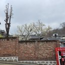 종로구립 고희동 미술자료관 | [북촌한옥마을] 원서동 고희동 가옥 및 고희동 미술관