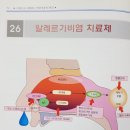 원주비염한의원 봉침요법으로 알레르기비염 치료해요.