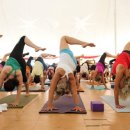 빈야사 & 전신 요가 이미지