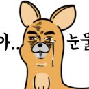 커피이지스 이미지