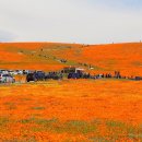 공원슈퍼 이미지