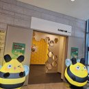 백두대간지구 | 아시아 최대 규모 봉화가볼만한곳 백두대간수목원