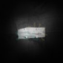 안양동물병원 이미지