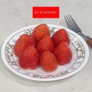 만추 먹는집 | ep.19 이제 올해도 얼마 안 남았다. 누에그 카페, 만추에 이어 우신탕까지 알찬 일주일 그 이상.