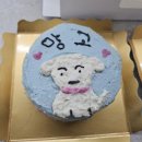 반려동물 케이크만들기 이미지