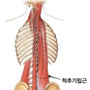 바디케어체형관리 - 계양구 용종로 2 | 바디케어체형관리