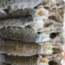 유포어촌체험마을 이미지