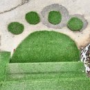 스카이N스파펜션 이미지