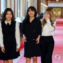 레드벨벳 카카오 검색결과