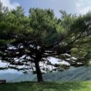 이글목장 이미지