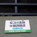 도그펜션 이미지